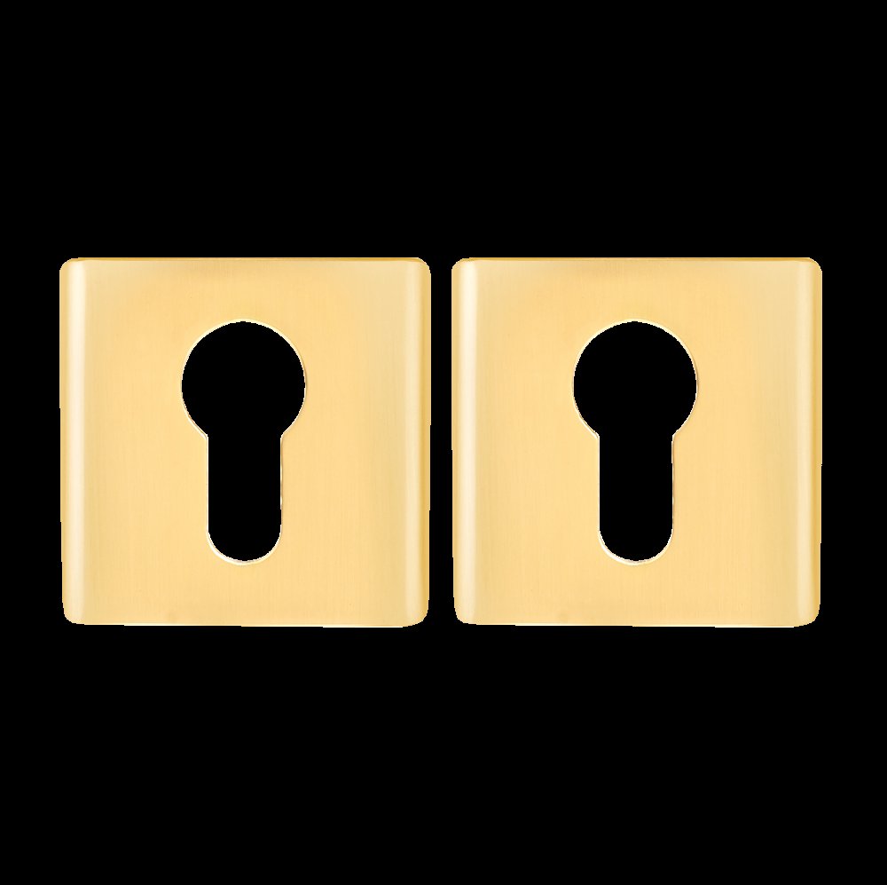 Накладки цилиндровые Apecs Ultra DP-C-60-GMS